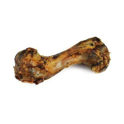 עצם כתף חזיר מיובשת