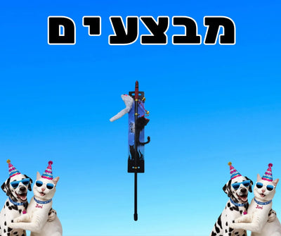 מבצע משחק חכה לחתולים