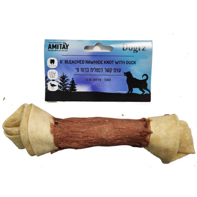 עצם קשר דנטלית ברווז