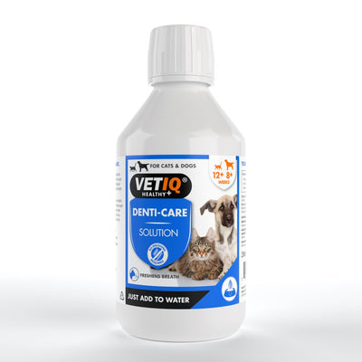 מי פה רפואי לכלבים וחתולים VetIQ 2in1 Denti-Care