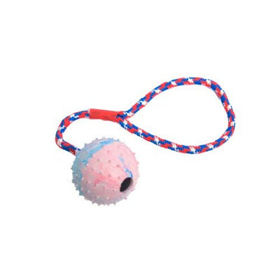 צעצוע לכלב כדור גומי עם חוט