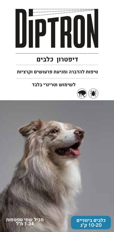 אמפולה דיפטרון לכלב 10-20 ק"ג