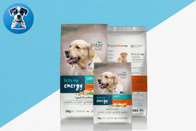 אינטר נוטרי 18 ק''ג עוף