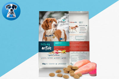 אינטר נוטרי עוף 18 ק''ג כלב פעיל