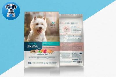 אינטר נוטרי סלמון 3 ק''ג