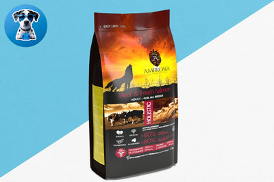 אמברוסיה מזון לכלב בוגר בקר וסלמון 12 ק"ג