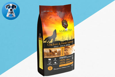 אמברוסיה מזון לכלב בוגר עוף וסלמון 12 ק"ג