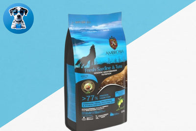 אמברוסיה ים תיכוני 5 ק"ג כלב בוגר סרדין וטונה