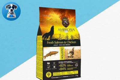 אמברוסיה מזון לכלב בוגר מיני, סלמון ועוף 6 ק"ג