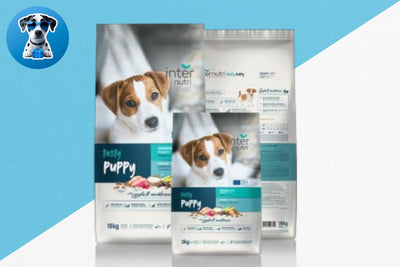 אינטר נוטרי גורים 18 ק''ג