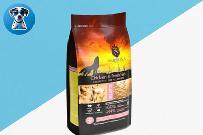 אמברוסיה מזון לגורי כלבים עוף ודג 6 ק"ג