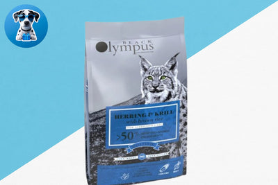 בלאק אולימפוס חתול בוגר 2 ק''ג