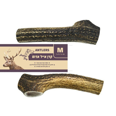 קרן אייל אדום - שלמה מידות שונות