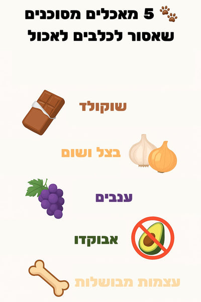 🐾 מאכלים מסוכנים שאסור לכלבים לאכול