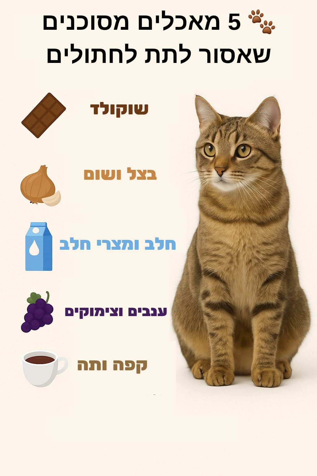 🐾 מאכלים מסוכנים שאסור לתת לחתולים