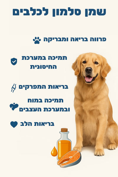 🐶 שמן סלמון לכלבים – היתרונות הבריאותיים שאתם חייבים להכיר