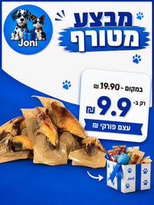 מבצע עצם פורקי M