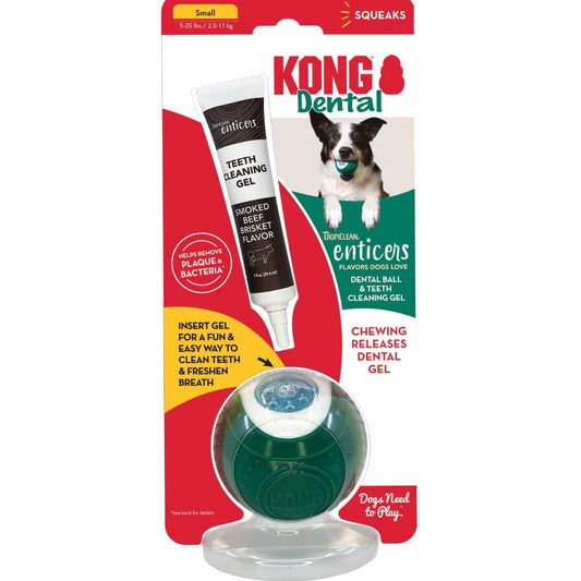 קונג מארז כדור + ג'ל לשיניים KONG