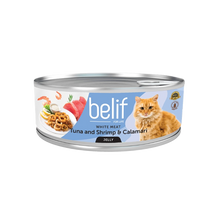 belif בליף מעדן טונה שרימפס וקלמרי בג'לי- 80 גרם