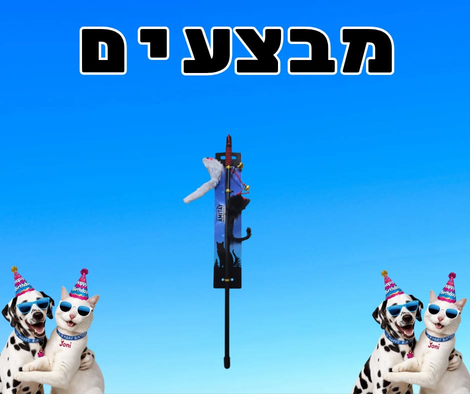 מבצע משחק חכה לחתולים