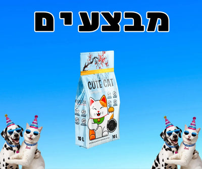 חול 10 ליטר מתגבש