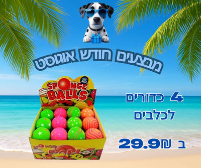 מבצע 4 כדורים קפצניים לכלבים
